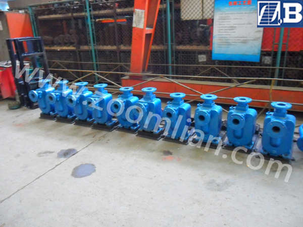 ZW型自吸式无堵塞排污泵